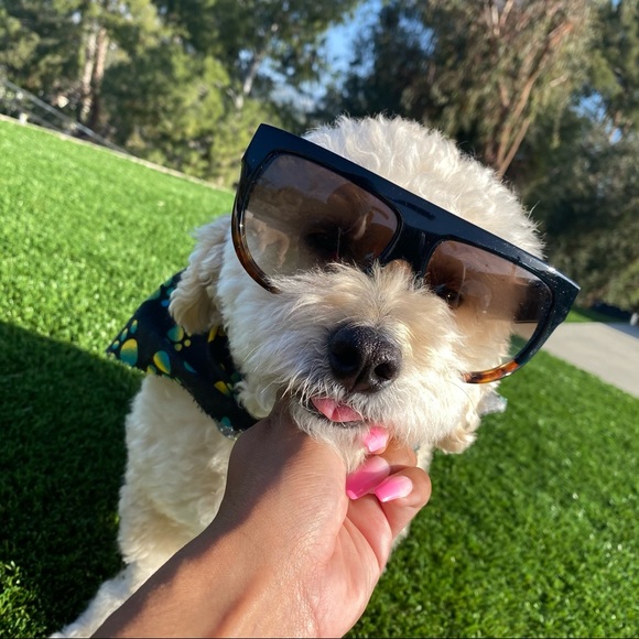 Celine Accessories - Celine Aviator Sunglasses